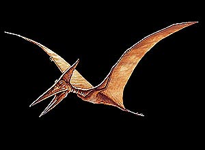 Ilustrao de como seria um pterossauro; na China, pesquisadores encontraram exemplar do animal e um ovo