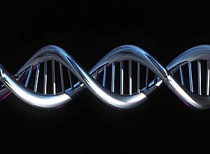 Pesquisadores do Instituto de Biociências da USP encontram indícios de hélice tripla em DNA de células vivas de insetos