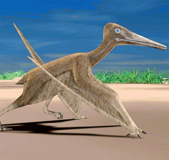 Recriao digital de pterossauro que lembra o do Brasil; restos foram coletados na Bahia por Joseph Mawson