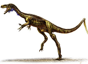 This undated handout illustration provided by the journal Science shows Eodromaeus. The four-foot long hunter lived 230 million years ago in what is now South America and appears to be the ancestor of such creatures as Tyrannosaurus rex. Read more » (AP Photo/Science, Illustration by Todd Marshall) NO SALES