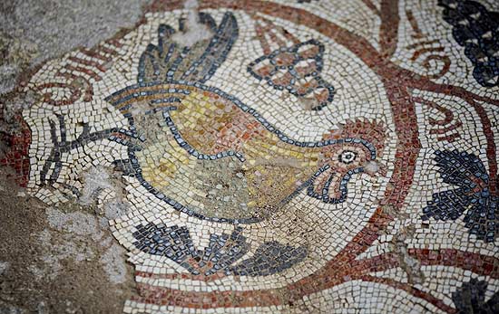 Mosaico encontrado no chão da igreja bizantina, em Israel, está bem preservado; veja galeria de fotos