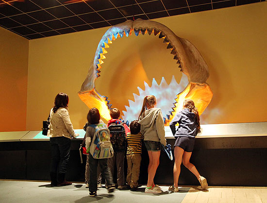Mandbula com dentes de tubaro pr-histrico mede 2,7 metros de altura e 3,3 metros de comprimento