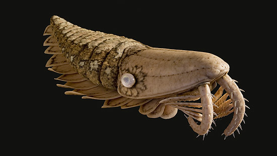 Ilustração artística de criatura marinha; fósseis indicam que corpo segmentado deve ter ajudado-a a respirar