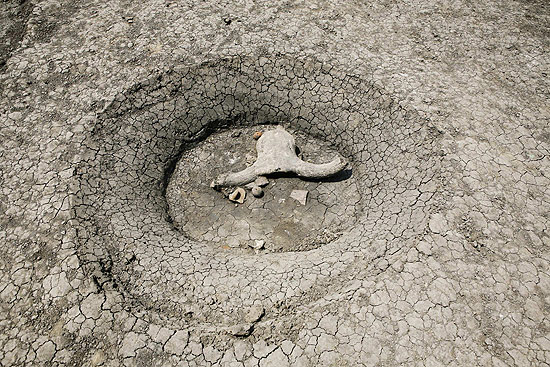 Na foto, objeto que se presume ser uma cabeça de vaca encontrada em vila de Kosovo; veja galeria de fotos