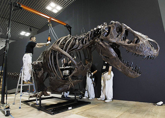Funcionários trabalham na montagem da réplica do Tiranossauro rex que ficará exposto em museu japonês