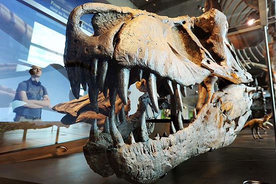 Veja a galeria de imagens com os destaques da exposio de dinossauros em Los Angeles
