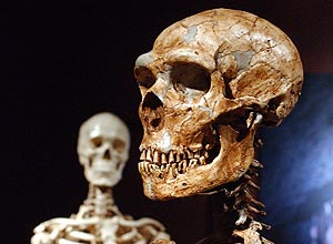 Crânio reconstruído de neanderthal (à frente) e de um homem moderno (atrás); estudo indica supremacia dos segundos