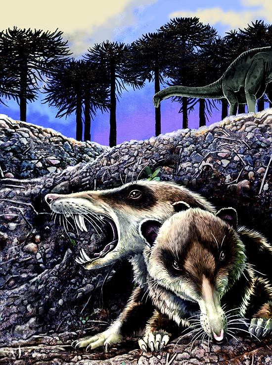 O "Cronopio dentiacutus" (acima) é um dos mais antigos mamíferos da América do Sul, com 100 milhões de anos