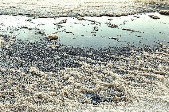 Sal concentrado em vrias partes do litoral do mar Morto; veja galeria de fotos