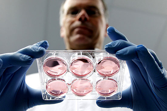 Cientista holands Mark Post exibe amostras de carne produzida em laboratrio 