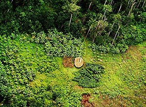 Vista aérea de roça em aldeia da Terra Indí­gena Sete de Setembro, em Rondônia