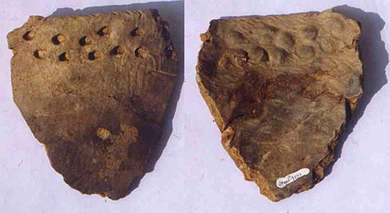 Fragmentos encontrados na China mostram que tribos de caadores-coletores usavam cermica antes mesmo da agricultura