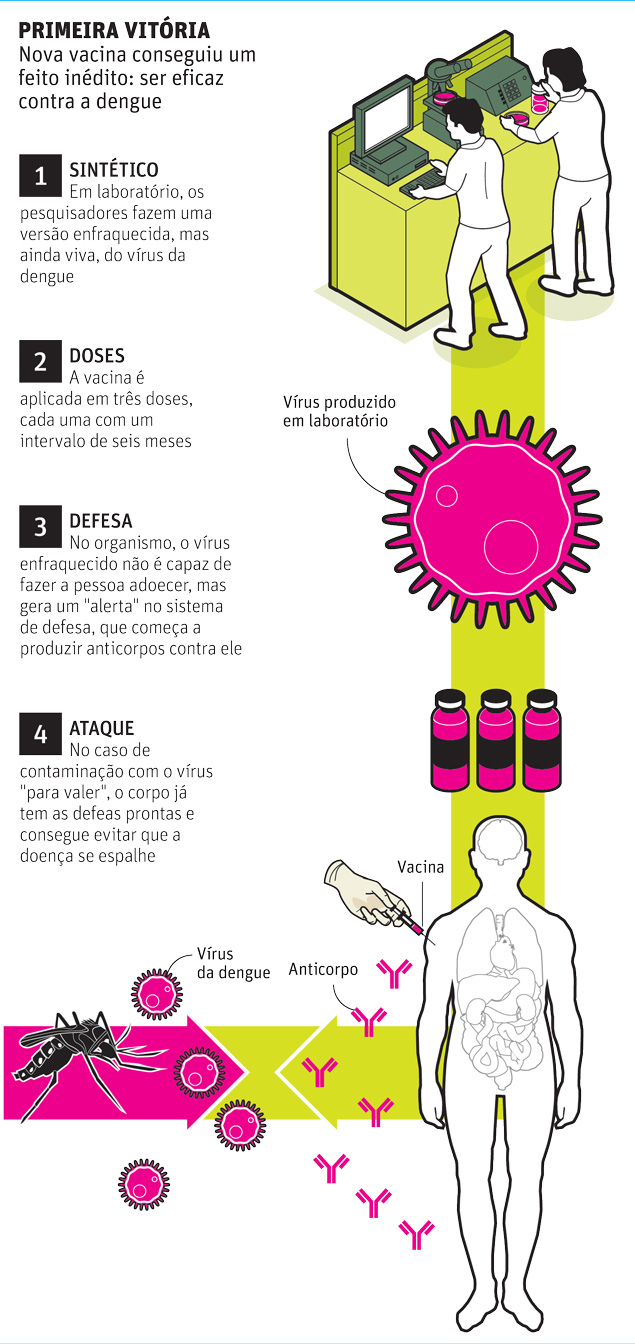 Nova vacina conseguiu um feito indito: ser eficaz contra a dengue