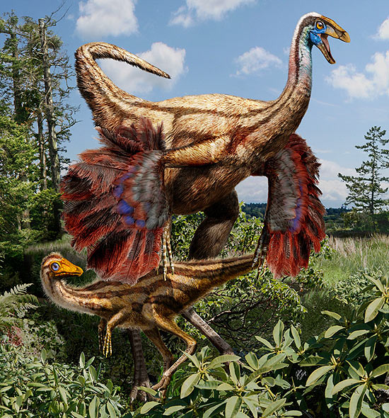 Dinossauro adulto (no alto), com penas totalmente desenvolvidas, ao lado de filhote