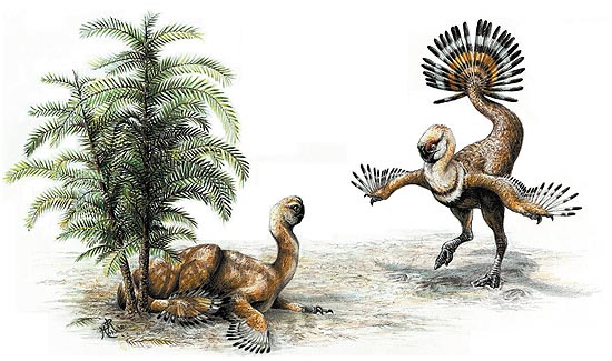 Reconstituio artstica do dinossauro _Ingenia yanshini_, com macho mostrando cauda para fmea