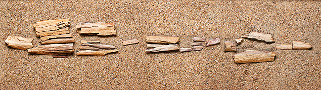 Pedacos da tibia do camelo encontrado na ilha de Ellesmere