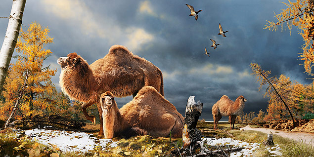 Concepcao artistica de camelos numa floresta boreal