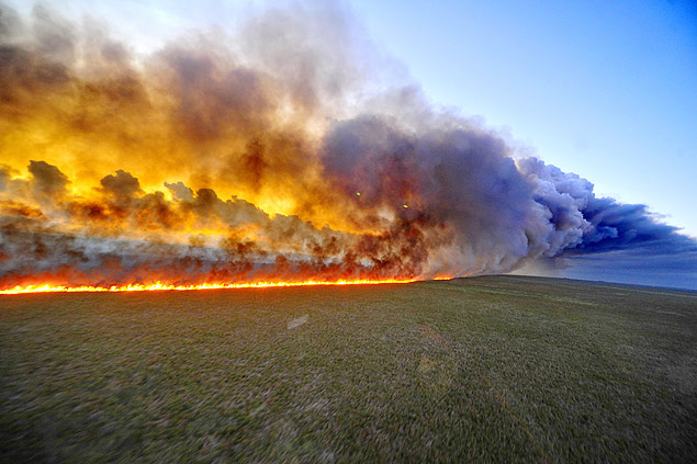 Incêndio consome vegetação na Estação Ecológica do Taim, no sul do Rio Grande do Sul, e já destruiu ao menos 1.400 hectares 