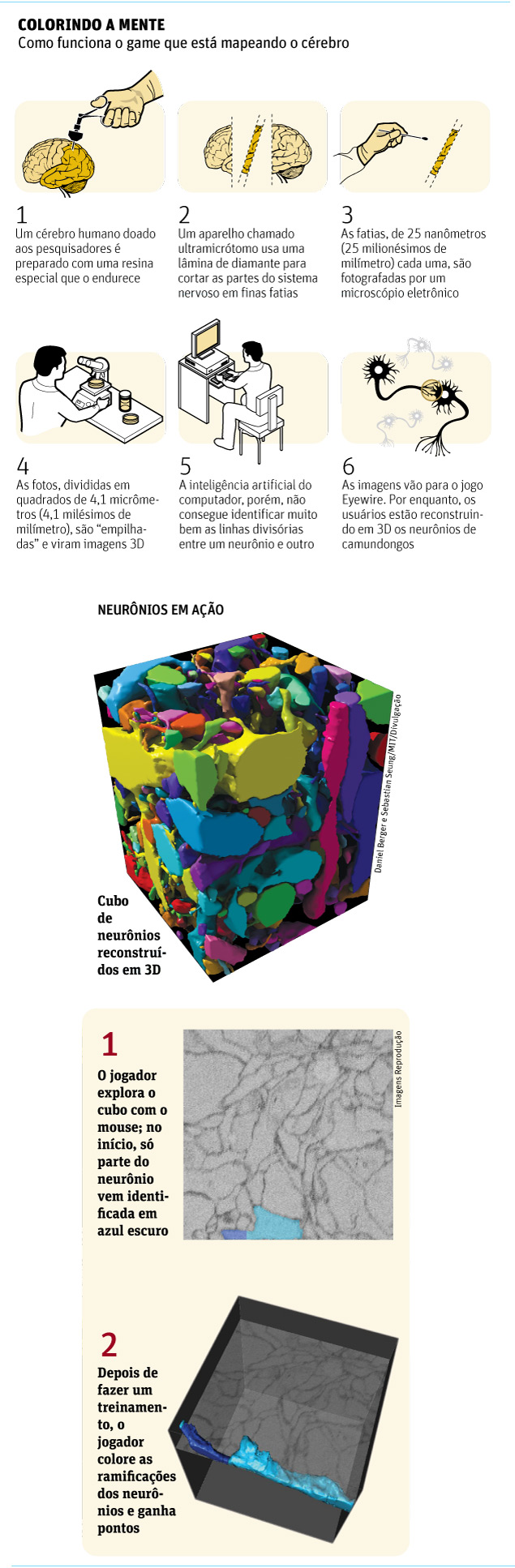 A Neurociência de Game of Thrones - Conectomus