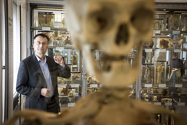 Thomas Schnalke, diretor do Museu de História Médica, em Berlim, entre restos mortais humanos em exibição 
