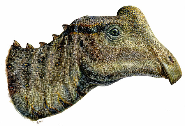 Concepção artística do dinossauro apelidado de Joe; fóssil foi achado em Utah, nos EUA, por estudante do ensino médio 