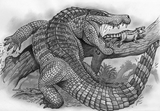 Concepo artstica do Sahitisuchus fluminensis, um dos crocodilomorfos mais preservados do mundo