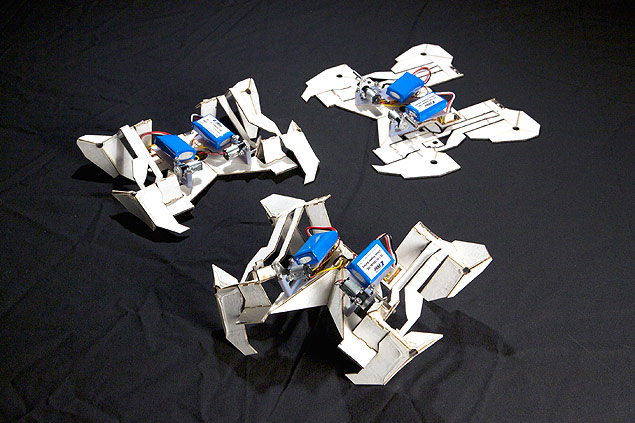 Robôs criados por Harvard conseguem modificar sua própria forma