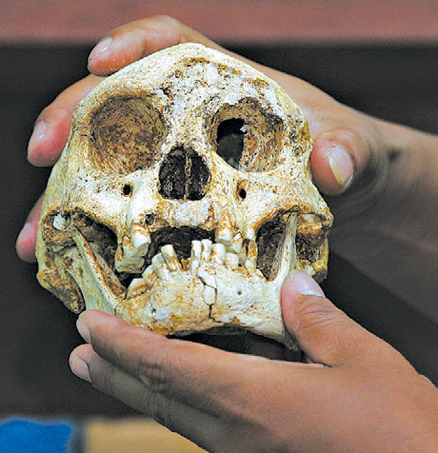 Crnio encontrado com outros ossos na ilha de Flores, na Indonsia