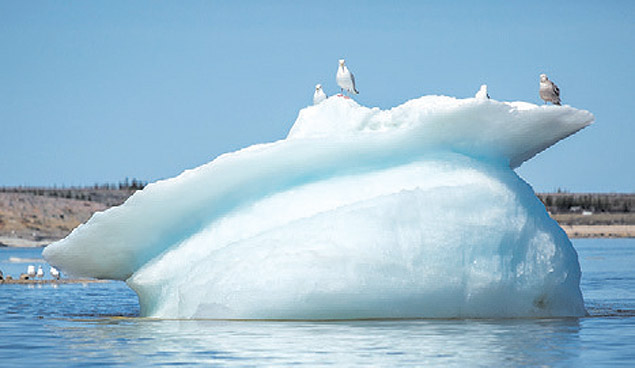 Bloco de gelo em derretimento na costa do Canad