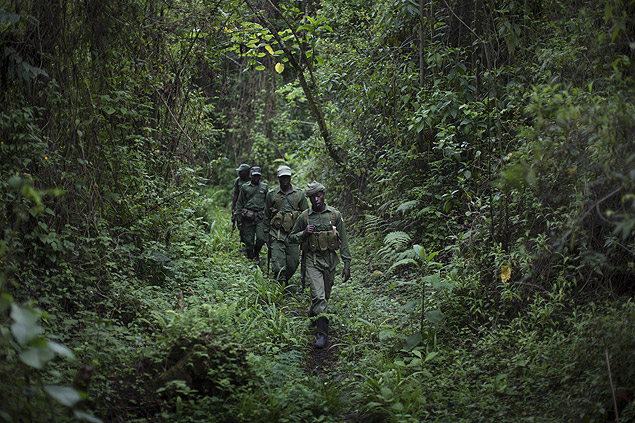 Soldados e guardas florestais no Parque Nacional do Virunga; diretor do parque foi vtima de uma emboscada em abril