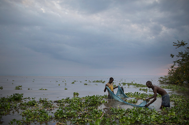 Two men use a mosquito net in shallows of Lake Victoria to catch baby catfish to sell as bait, in Kenya, Aug. 25, 2014. The growing problem of mosquito-net fishing, which threatens stocks by scooping up too many small fish, is an unintended consequence of the successful distribution of nets to prevent malaria, one of the biggest and most celebrated public health campaigns in Africa. (Uriel Sinai/The New York Times)