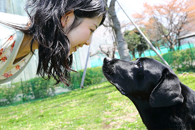 Participante do estudo da Universidade Azabu, no Japão, troca olhares com Hook, um labrador
