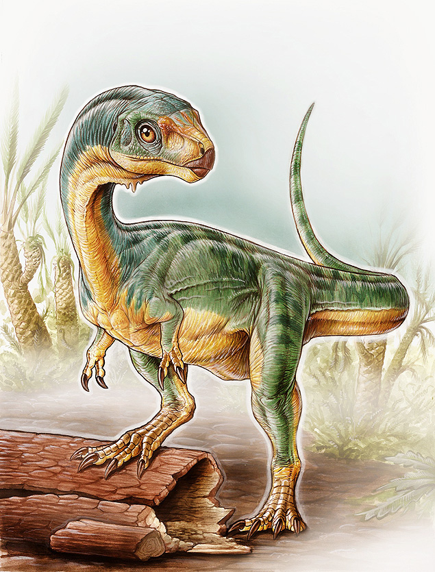 Concepção artística do Chilesaurus diegosuarez 