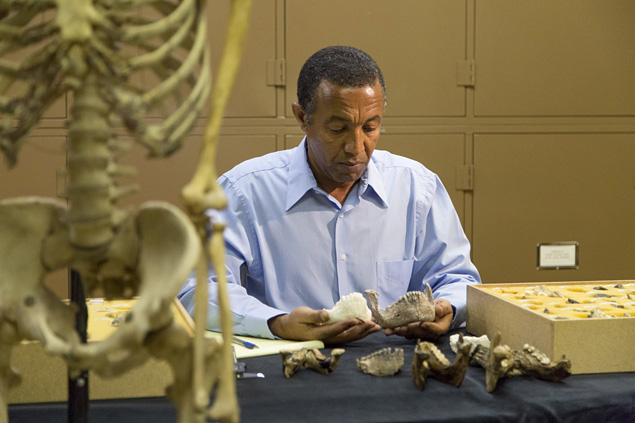 Paleoantroplogo Yohannes Haile-Selassie analisa dentes e mandbula da nova espcie
