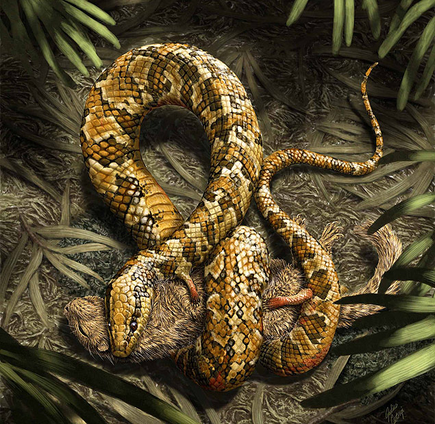 Reconstrução artística da cobra de quatro patas que viveu no Ceará