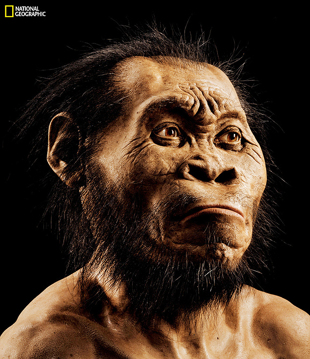 Reconstrução mostra como seria o rosto do hominídeo 