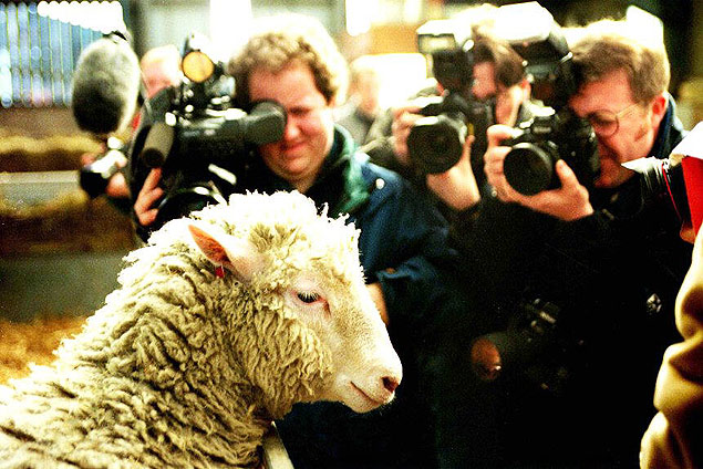 A ovelha Dolly foi o primeiro clone obtido a partir de clula de um animal adulto