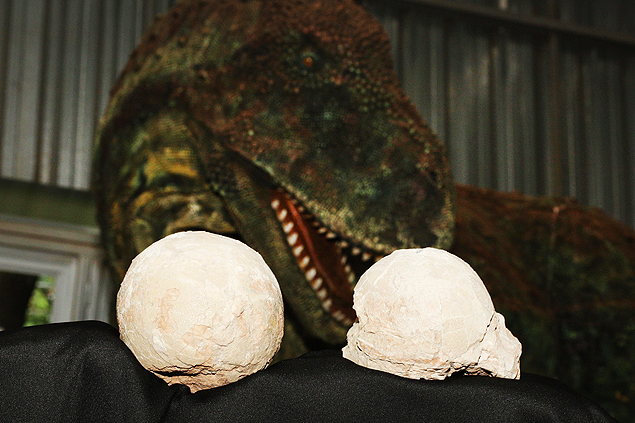 Ovos de dinossauro bem preservados foram doados de forma anônima para Departamento Nacional de Proteção Mineral