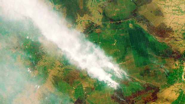 Incndios florestais em Kalimantan, na Indonsia, responsveis por problemas de poluio no Sudeste Asitico neste ano