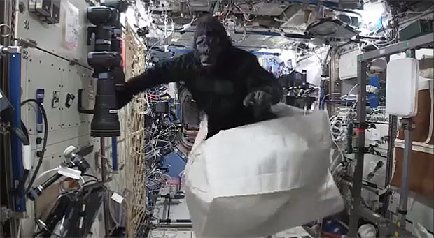 Astronauta Scott Kelly se fantasia de gorila na Estao Espacial Internacional