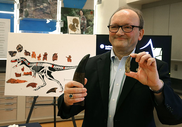 O paleontlogo Hans Sues, do Museu Smithsonian de Histria Natural compara um dente de _T. rex_ (o maior) com um do novo tiranossaurdeo descoberto