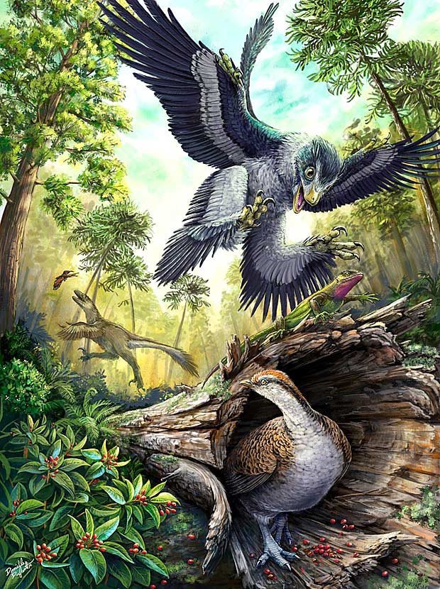 Ao fundo, dois dinossauros com penas durante caa; o de cima  um pssaro dentado; abaixo, um hipottico pssaro sem dentes relacionado s aves modernas