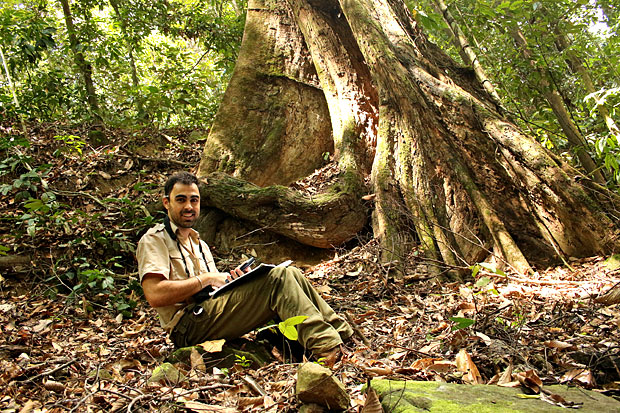 Matheus Nunes, 28, com a rvore encontrada por ele; ela tem uma altura equivalente a de um prdio de 30 andares