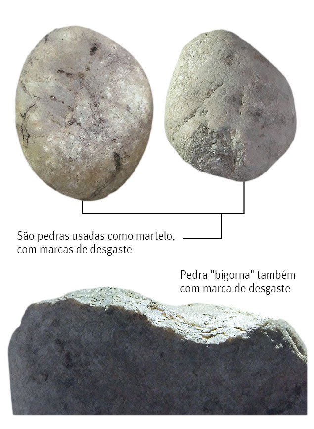 MACACO VELHO que a arqueologia revela sobre os smios brasileiros