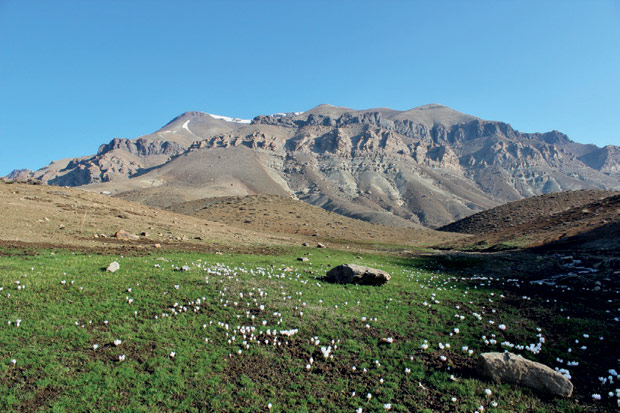 Montanhas de Zagros, onde as mais antigas provas da agricultura foram encontradas