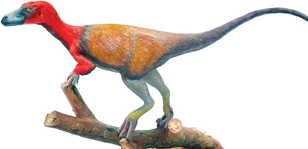 Concepção artística do _Mirischia assymetrica_, dinossauro com 50 cm de altura que vivia na chapada do Araripe