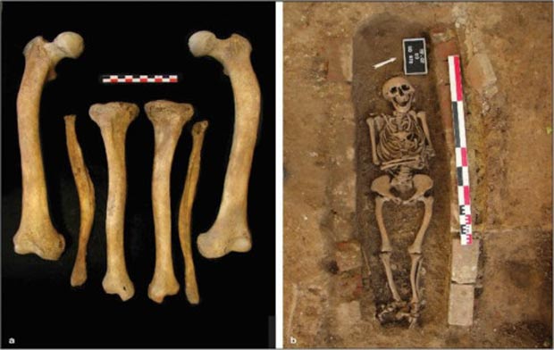Ossos de um esqueleto na Frana que foram analisados pelos cientistas