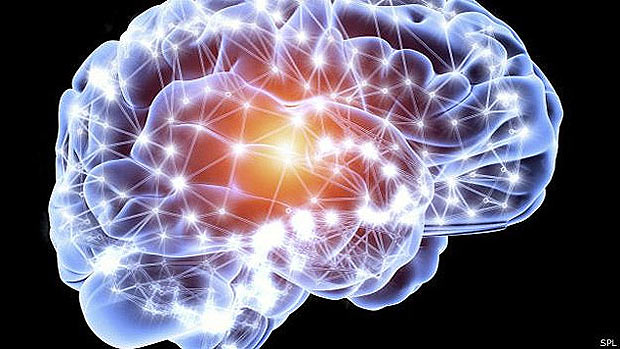 O cérebro é o órgão que mais consome energia em todo o corpo 
