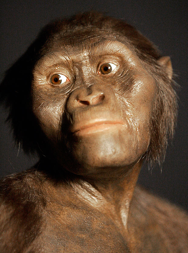 Simulao de como seria a australopithecus Lucy
