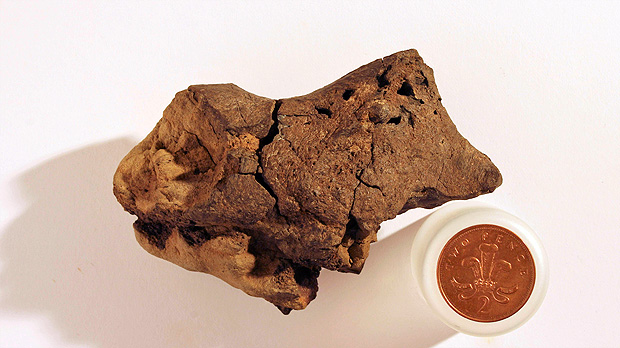 Pedaço fossilizado de cérebro de dinossauro encontrado por cientistas na Inglaterra 